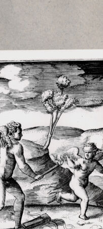 Rückseite von  [http://creativecommons.org/publicdomain/mark/1.0/] Amor - , bh094575. Foto.