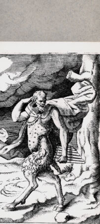 Rückseite von  [http://creativecommons.org/publicdomain/mark/1.0/] Pan - , bh094594. Foto.