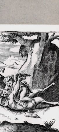 Rückseite von  [http://creativecommons.org/publicdomain/mark/1.0/] Pan und Amor - , bh094620. Foto.