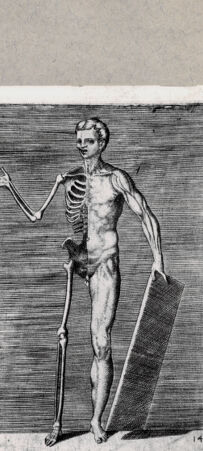 Rückseite von  [http://creativecommons.org/publicdomain/mark/1.0/] Skelett - , bh094624. Foto.