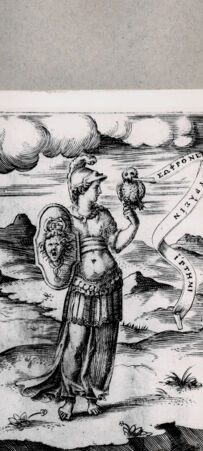 Rückseite von  [http://creativecommons.org/publicdomain/mark/1.0/] Athene - , bh094630. Foto.