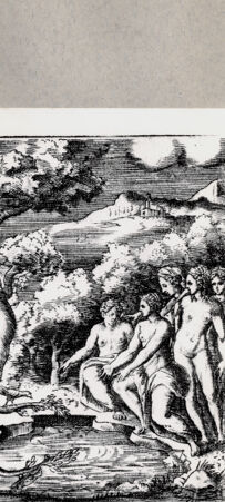 Rückseite von  [http://creativecommons.org/publicdomain/mark/1.0/] Naiaden - , bh094635. Foto.