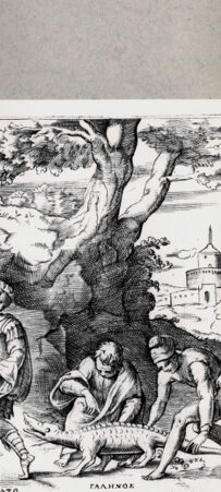 Rückseite von  [http://creativecommons.org/publicdomain/mark/1.0/] Cato wird von einem Krokodil verfolgt - , bh094645. Foto.