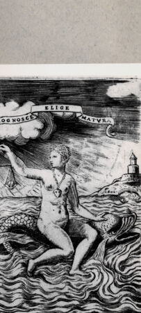 Rückseite von  [http://creativecommons.org/publicdomain/mark/1.0/] Jungfrau auf Delphin reitend - , bh094653. Foto.