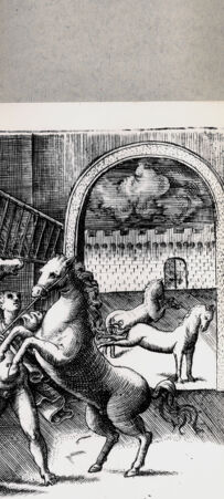 Rückseite von  [http://creativecommons.org/publicdomain/mark/1.0/] Pferde in einem Hof - , bh094661. Foto.