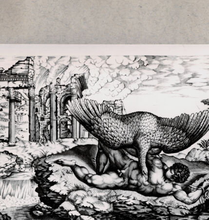 Rückseite von  [http://creativecommons.org/publicdomain/mark/1.0/] Tityus - , bh094693. Foto.