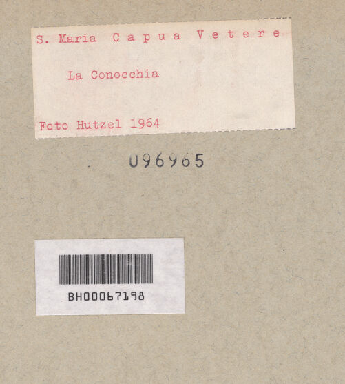 Rückseite von Hutzel, Max [https://www.deutsche-digitale-bibliothek.de/content/lizenzen/rv-ez/] Römisches Grabmal, genannt "Conocchia" - Gesamtansicht von Süden, bh096965_recto. Foto: Hutzel, Max.