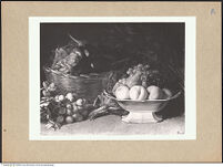 Thumbnail des 8. Ordners