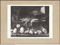 Thumbnail des 6. Ordners