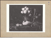 Thumbnail des 7. Ordners