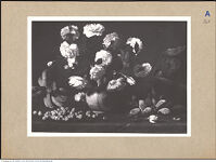 Thumbnail des 8. Ordners