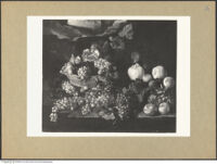 Thumbnail des 6. Ordners