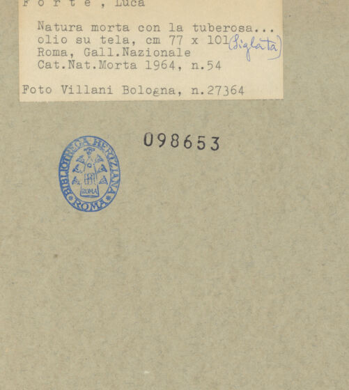 Rückseite von bh098653_recto