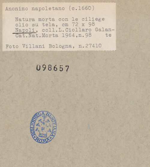 Rückseite von bh098657_recto