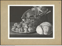 Thumbnail des 7. Ordners