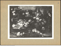 Thumbnail des 14. Ordners