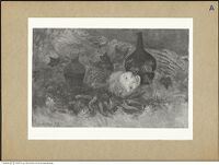 Thumbnail des 10. Ordners