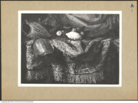 Thumbnail des 11. Ordners