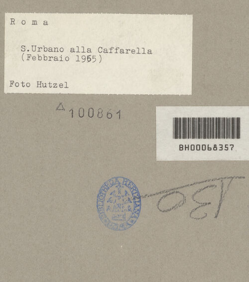 Rückseite von Hutzel, Max [https://www.deutsche-digitale-bibliothek.de/content/lizenzen/rv-fz/] Sant'Urbano alla Caffarella - Ausschnitt: Südwestecke, bh100861_recto. Foto: Hutzel, Max.