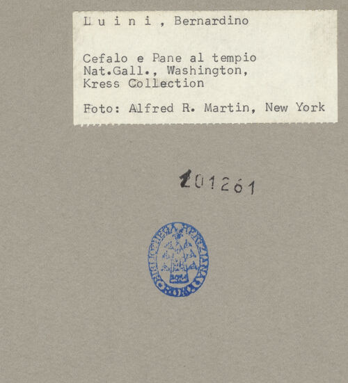 Rückseite von bh101261_recto