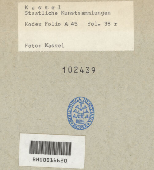 Rückseite von bh102439_recto