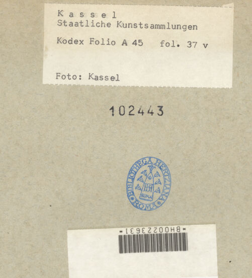 Rückseite von bh102443_recto