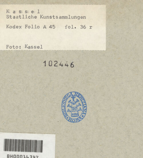 Rückseite von bh102446_recto