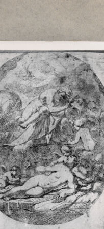 Rückseite von  [http://creativecommons.org/publicdomain/mark/1.0/] Danae - , bh103686. Foto.