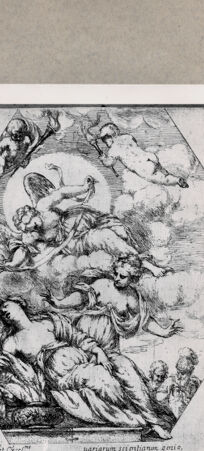 Rückseite von  [http://creativecommons.org/publicdomain/mark/1.0/] Dido - , bh103689. Foto.