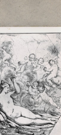 Rückseite von  [http://creativecommons.org/publicdomain/mark/1.0/] Venus - , bh103690. Foto.