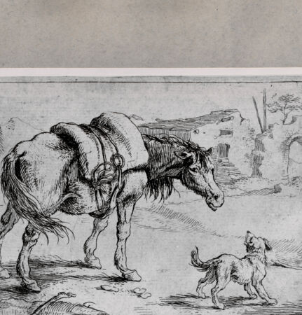 Rückseite von  [http://creativecommons.org/publicdomain/mark/1.0/] Pferd und Hund vor Ruinen - , bh104599. Foto.