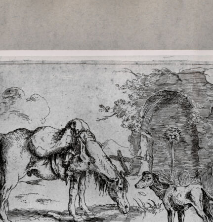 Rückseite von  [http://creativecommons.org/publicdomain/mark/1.0/] Pferd und Hund vor einem Wasserspeier - , bh104600. Foto.