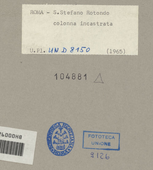 Rückseite von bh104881_recto