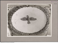 Thumbnail des 8. Ordners