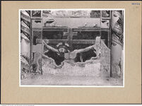 Thumbnail des 18. Ordners