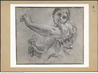 Thumbnail des dritten Ordners