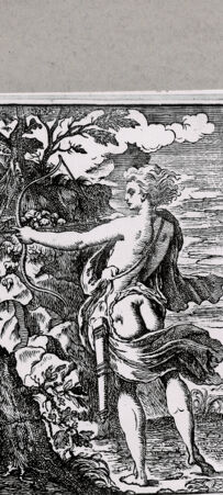 Rückseite von British Museum [https://www.deutsche-digitale-bibliothek.de/content/lizenzen/rv-ez/] Apollon - , bh112099. Foto.