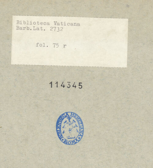 Rückseite von bh114345_recto