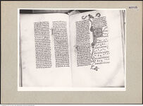 Thumbnail des 6. Ordners