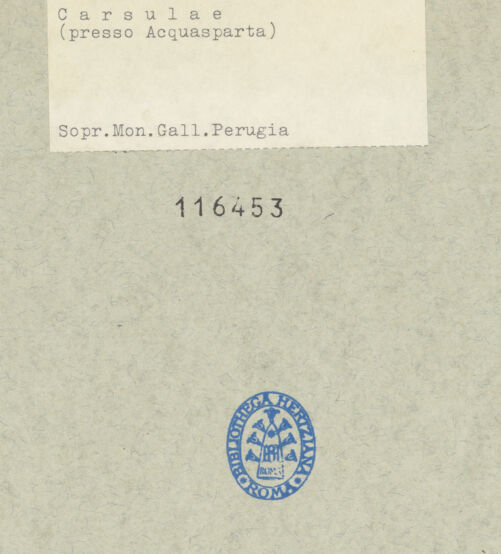 Rückseite von bh116453_recto