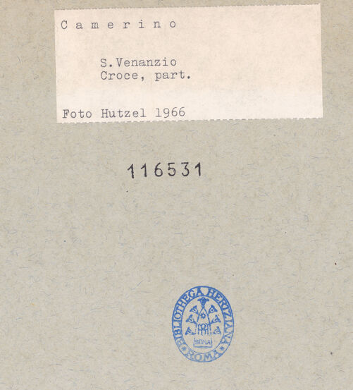 Rückseite von bh116531_recto