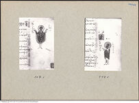 Thumbnail des vierten Ordners