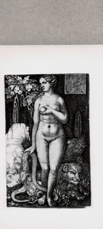 Rückseite von  [http://creativecommons.org/publicdomain/mark/1.0/] ... - , bh121215. Foto.