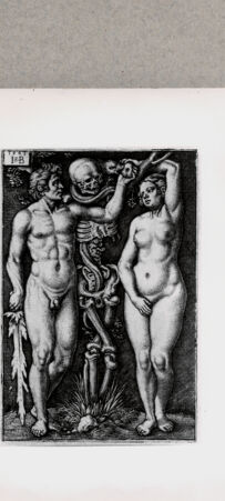 Rückseite von  [http://creativecommons.org/publicdomain/mark/1.0/] Adam und Eva - , bh121217. Foto.