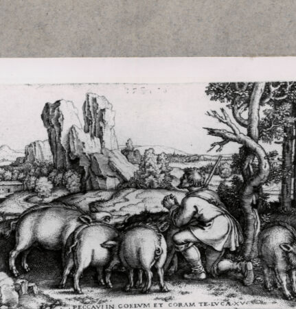 Rückseite von  [http://creativecommons.org/publicdomain/mark/1.0/] ... - , bh121321. Foto.