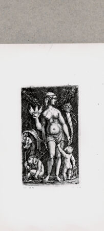 Rückseite von  [http://creativecommons.org/publicdomain/mark/1.0/] Venus - , bh121335. Foto.