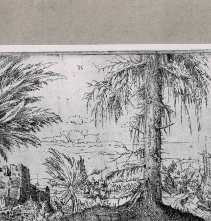 Rückseite von  [http://creativecommons.org/publicdomain/mark/1.0/] ... - , bh121364. Foto.