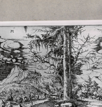 Rückseite von  [http://creativecommons.org/publicdomain/mark/1.0/] ... - , bh121367. Foto.