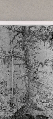 Rückseite von  [http://creativecommons.org/publicdomain/mark/1.0/] ... - , bh121368. Foto.