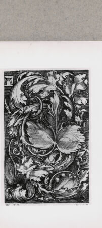 Rückseite von  [http://creativecommons.org/publicdomain/mark/1.0/] ... - , bh121369. Foto.